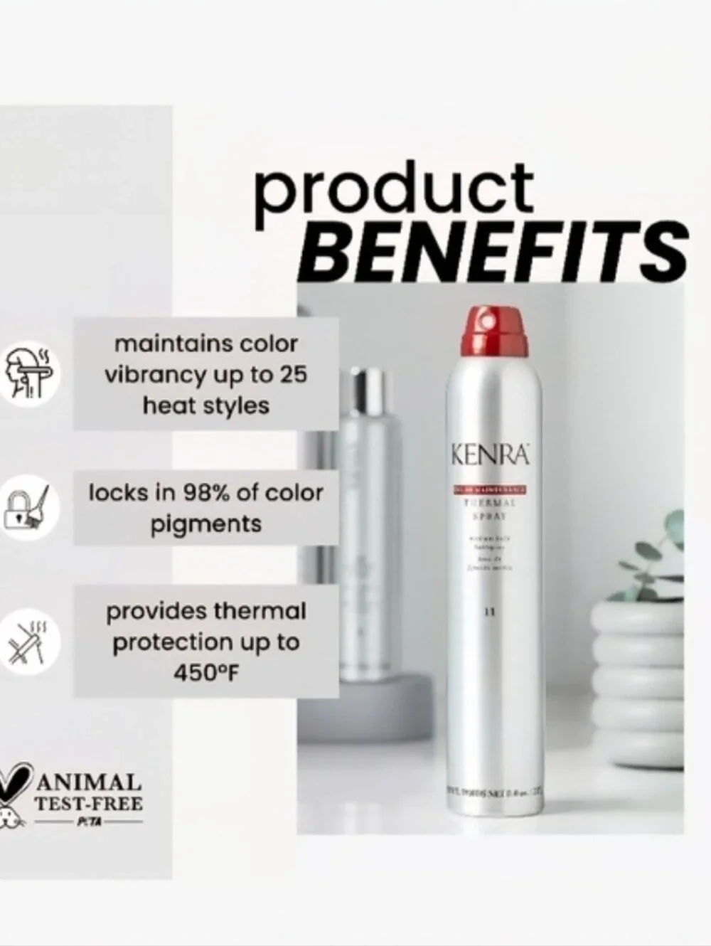 Kenra color maintenance